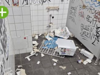 Dynamo Dresden: Zerstörte Stadion-Toiletten - was kann der