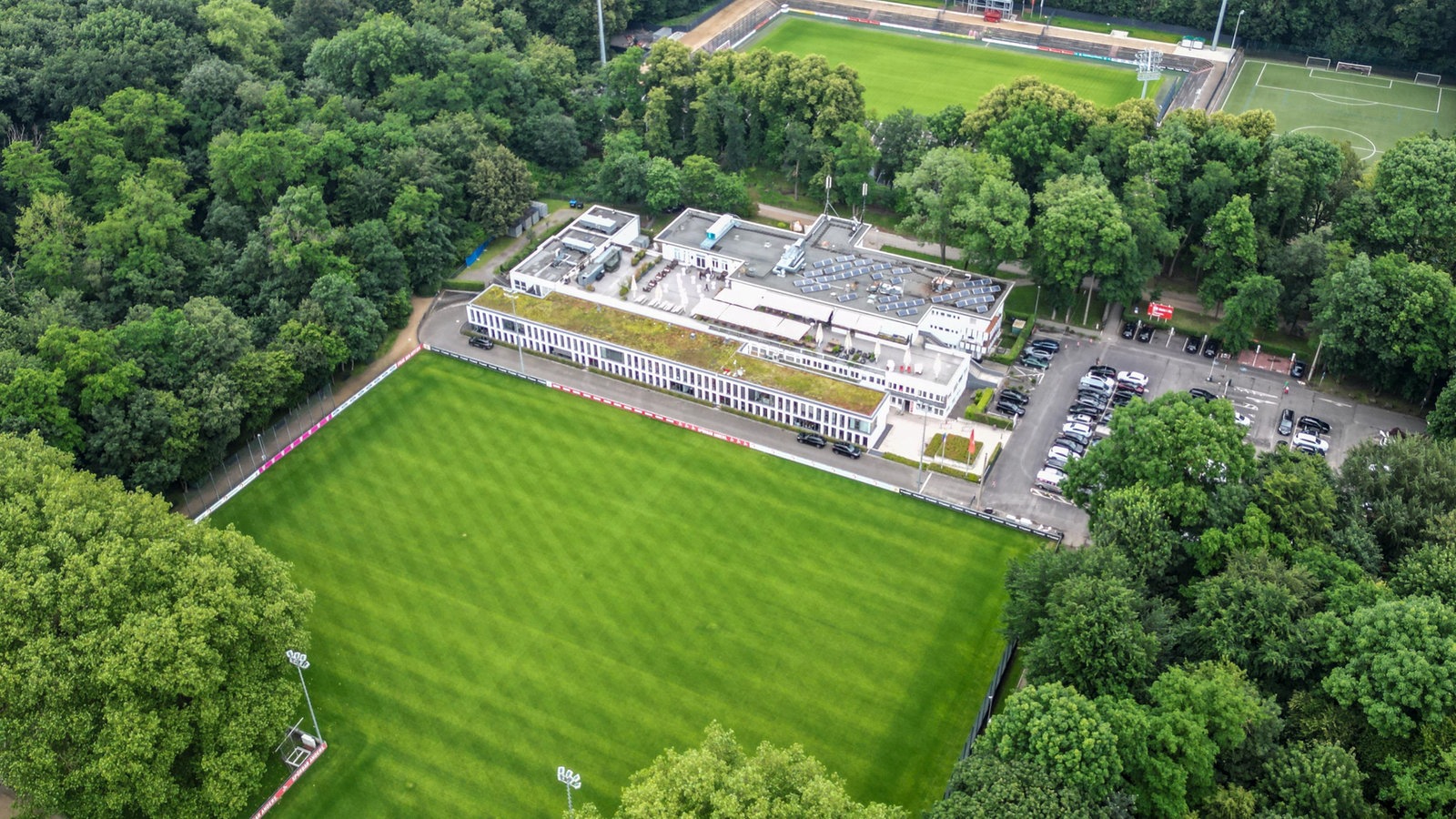 Mehr Platz für den 1. FC Köln auf Kosten der Natur? –