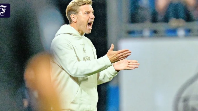 Darmstädter Zweitligaklub: Darum läuft es bei den „Lilien“