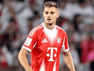 Stanišić peilt Rückkehr gegen den BVB an