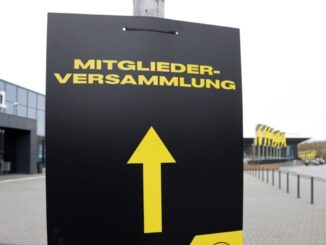 BVB Fans gründen Satzungs-Initiative "BVB 2029": Mehr