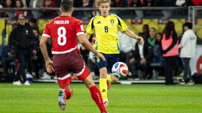 Nach WM-Quali-Debakel: Svensson erhält neuen