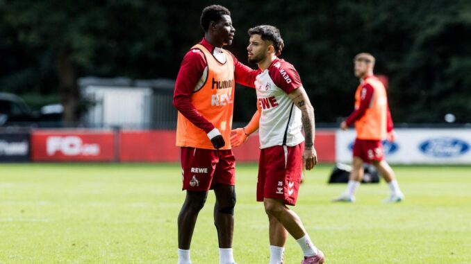 Köln: Gazibegovic vor Winter-Flucht?